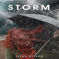 Storm Audibook, by Susan Wilson