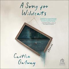 A Song for Wildcats: Stories Audibook, by Caitlin Galway