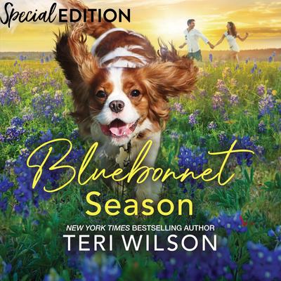 Bluebonnet Season Audibook, by Teri Wilson