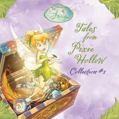 Disney Fairies Tales From Pixie Hollow: Collection #1: The Trouble with Tink; Beck and the Great Berry Battle; Lily's Pesky Plant; Vidia and the Fairy Crown Audibook, by Kiki Thorpe