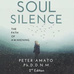 Soul Silence: The Path of Awakening Audibook, by Peter Amato Ph.D. D.N.M