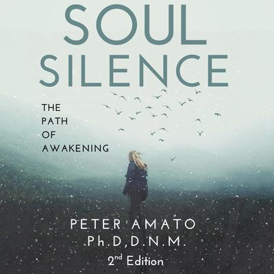 Soul Silence: The Path of Awakening Audibook, by Peter Amato Ph.D. D.N.M