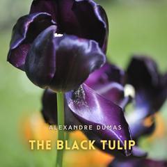 The Black Tulip Audibook, by Alexandre Dumas
