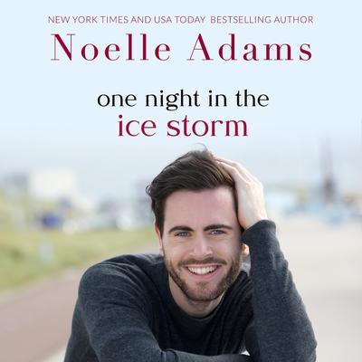 One Night in the Ice Storm Audibook, by Noelle Adams