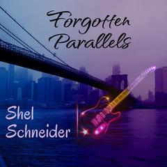 Broken Parallels Audibook, by Shel Schneider