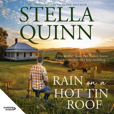 Rain on a Hot Tin Roof Audibook, by Stella Quinn