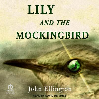 Lily and the Mockingbird Audibook, by John Ellington