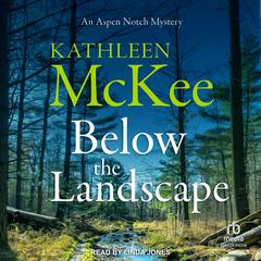Below the Landscape Audibook, by Kathleen McKee