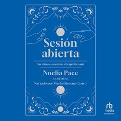 Sesión abierta: Las almas conectan, el espíritu sana Audibook, by Noelia Pace