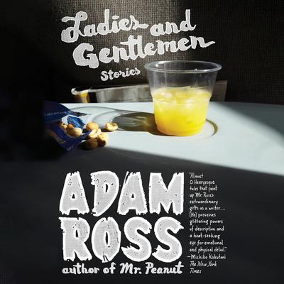 Ladies and Gentlemen: Stories Audibook, by Adam Ross