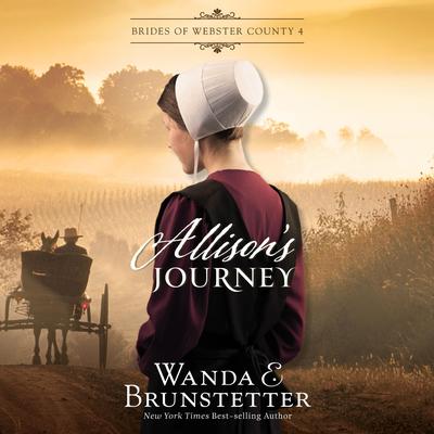 Allison's Journey Audibook, by Wanda E Brunstetter