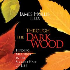 Through the Dark Wood: Finding Meaning in the Second Half of Life Audibook, by James Hollis