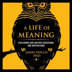 A Life of Meaning: Exploring Our Deepest Questions and Motivations Audibook, by James Hollis