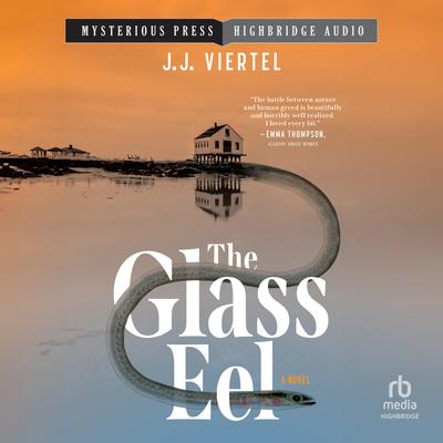 The Glass Eel Audibook, by J.J. Viertel