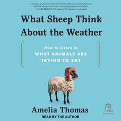 What Sheep Think About the Weather: How to Listen to What Animals Are Trying to Say Audibook, by Amelia Thomas