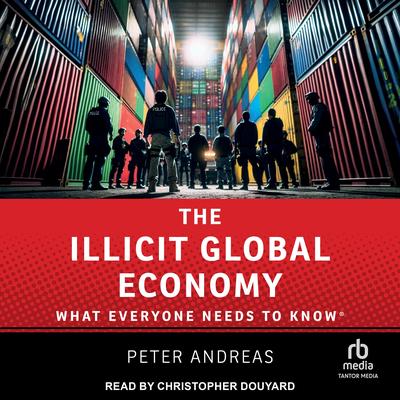 The Illicit Global Economy: What Everyone Needs To Know(r) Audibook, by Peter Andreas