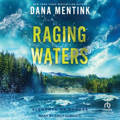 Raging Waters Audibook, by Dana Mentink