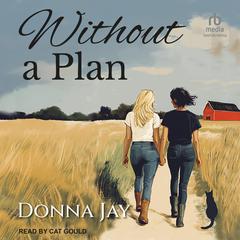 Without a Plan Audibook, by 