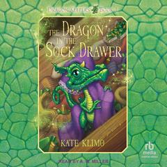 The Dragon in the Sock Drawer Audibook, by Kate Klimo