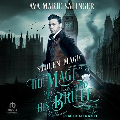 Stolen Magic Audibook, by Ava Marie Salinger