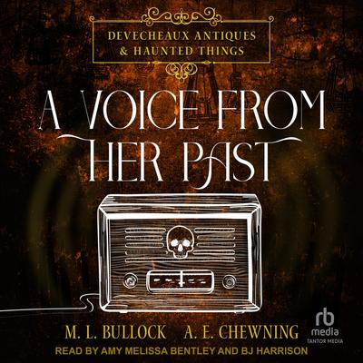 A Voice From Her Past Audibook, by M. L. Bullock