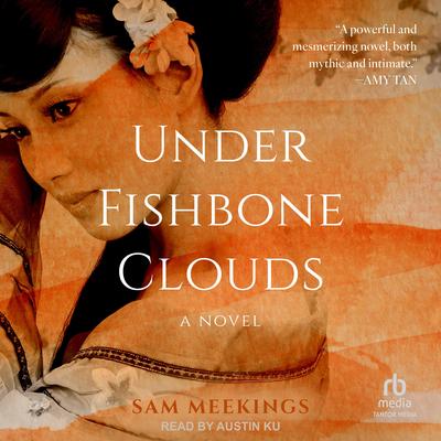 Under Fishbone Clouds Audibook, by Sam Meekings