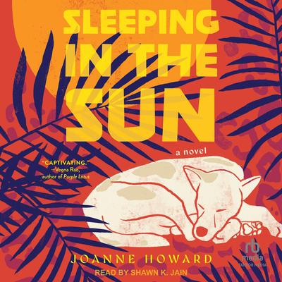 Sleeping in the Sun: A Novel Audibook, by Joanne Howard