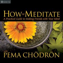 How to Meditate with Pema Chödrön: A Practical Guide to Making Friends with Your Mind Audibook, by Pema Chödrön