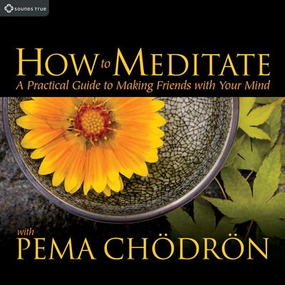 How to Meditate with Pema Chödrön: A Practical Guide to Making Friends with Your Mind Audibook, by Pema Chödrön