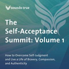 The Self-Acceptance Summit: Volume 1: How to Overcome Self-Judgment and Live a Life of Bravery, Compassion, and Authenticity Audibook, by Richard Schwartz