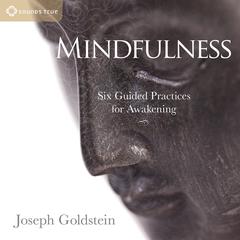 Mindfulness: Six Guided Practices for Awakening Audibook, by Joseph Goldstein
