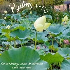 Psalms (1 - 50) Audibook, by World English Bible