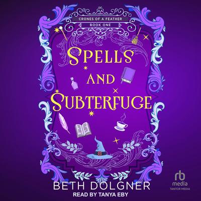 Spells and Subterfuge Audibook, by Beth Dolgner