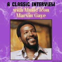 A Classic Interview with Music Icon Marvin Gaye Audibook, by Marvin Gaye