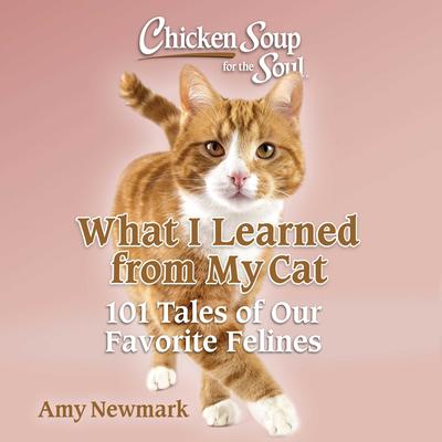 Chicken Soup for the Soul: What I Learned from My Cat: 101 Tales of Our Favorite Felines Audibook, by Amy Newmark