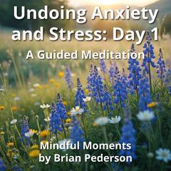 Undoing Anxiety and Stress: Day 1: A Guided Meditation Audibook, by Brian Pederson