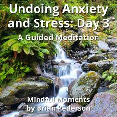 Undoing Anxiety and Stress: Day 3: A Guided Meditation Audibook, by Brian Pederson