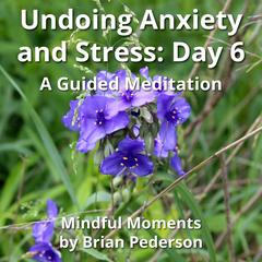 Undoing Anxiety and Stress: Day 6: A Guided Meditation Audibook, by Brian Pederson