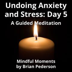 Undoing Anxiety and Stress: Day 5: A Guided Meditation Audibook, by Brian Pederson