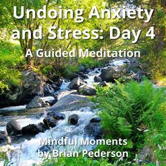 Undoing Anxiety and Stress: Day 4: A Guided Meditation Audibook, by Brian Pederson