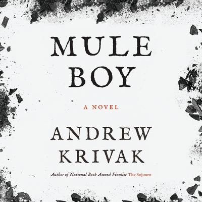 Mule Boy Audibook, by Andrew Krivak